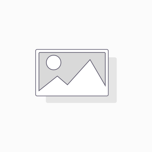 Plan Trimestral
